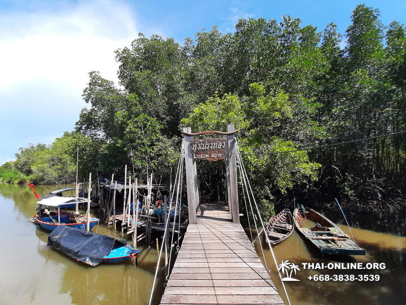 Golden Mangrove Forest tour Seven Countries Pattaya travel photo 18