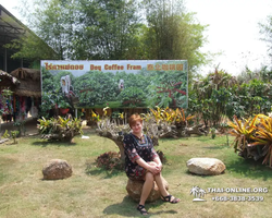 Wat Yan excursion book online +668-3838-3539 in Pattaya photo 892