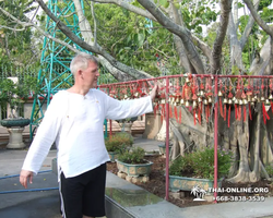 Wat Yan excursion book online +668-3838-3539 in Pattaya photo 878